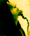 voila Shavo Odadjian